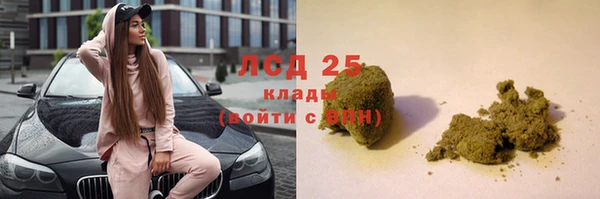 хмурый Алзамай