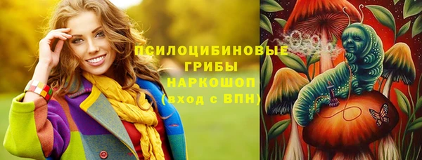 стафф Алексин